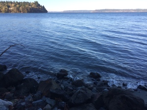 High Tide at Dumas Bay
