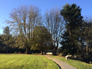 The beautiful grounds of the Dumas Bay Centre